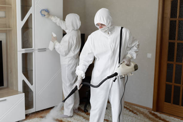Best Mold Cleaning Services  in Coal City, WV