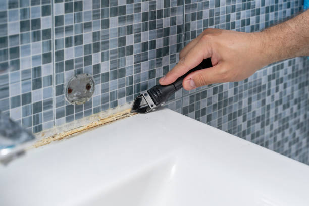 Best Home Mold Removal  in Coal City, WV