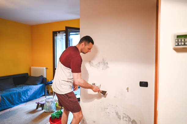 Best Toxic Mold Removal  in Coal City, WV